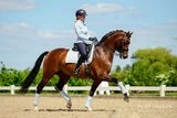 PS of Sweden - Dressage Saddle Pad - Sky Blue - Sovereign Equestrian