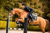 Load image into Gallery viewer, PS of Sweden - Boots Jump - Front - Sovereign Equestrian
